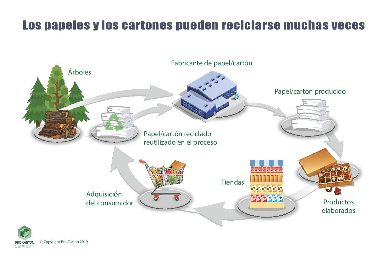Ciclo de vida del cartón