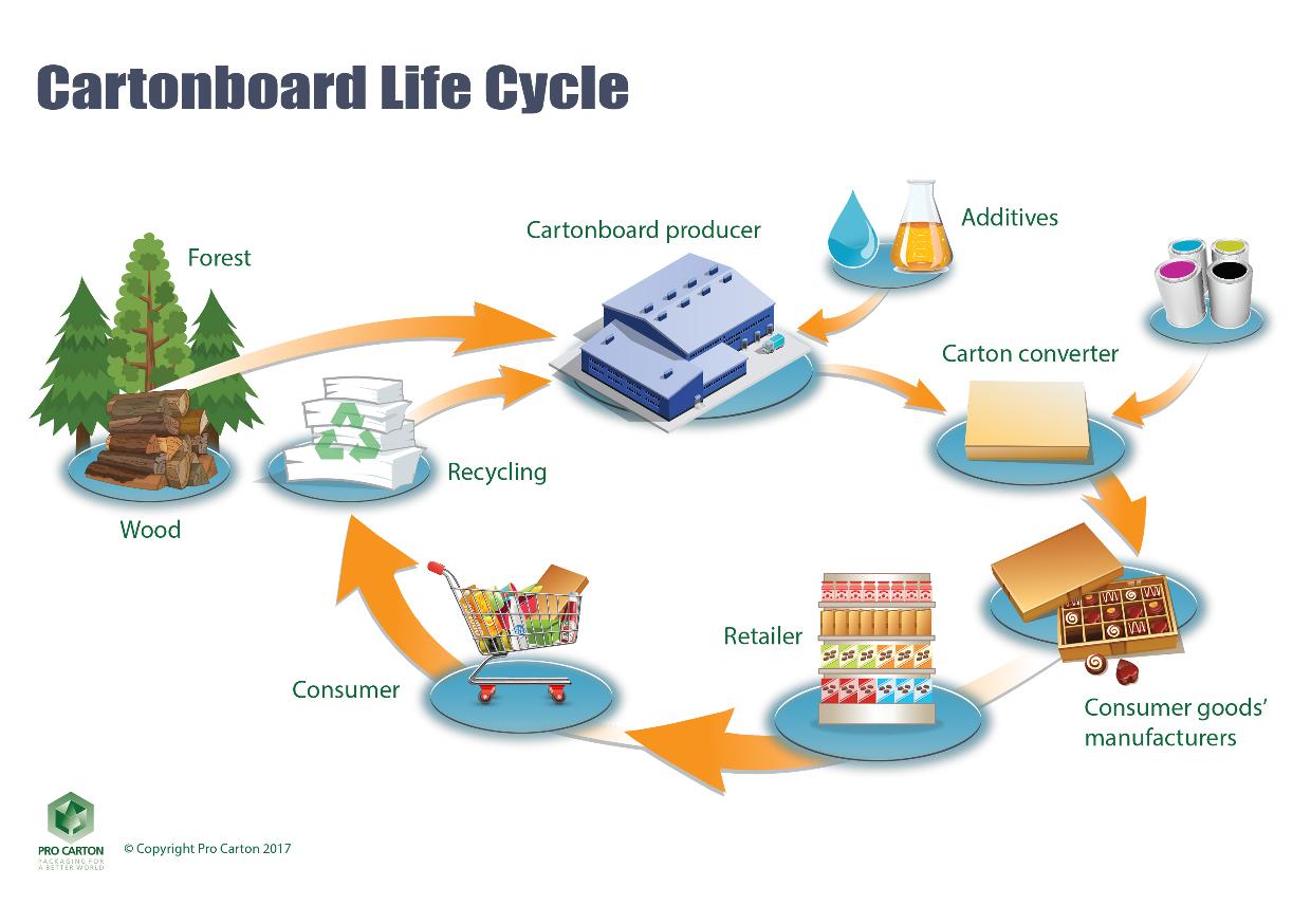 Carton Life Cycle Chart