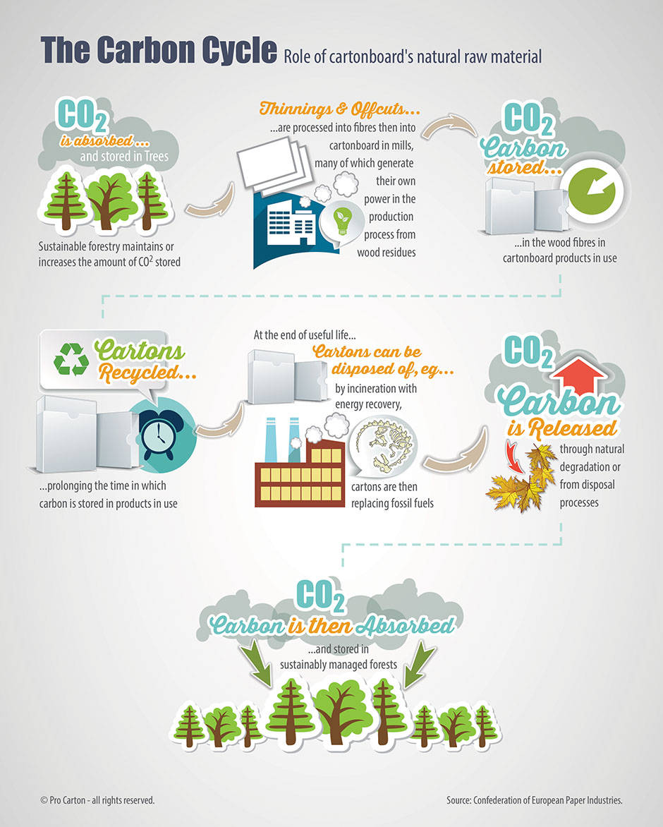 infografica_1