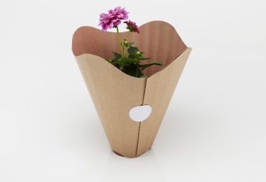 Petalé